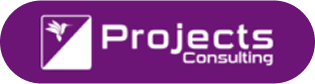 Projects Consulting
